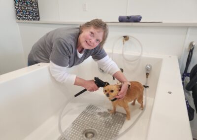 Woman bathing her dog in one of Dirty to Dapper's self-Ssrvice dog wash stations at our location in Albany, Oregon.